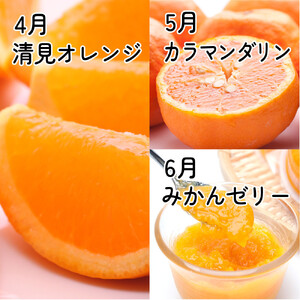 厳選 柑橘定期便S（4～6月）全3回 ［IKE289］