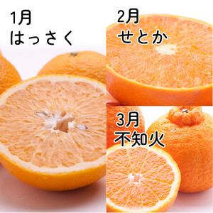 家庭用 柑橘定期便M（1～3月）全3回 ［IKE310］
