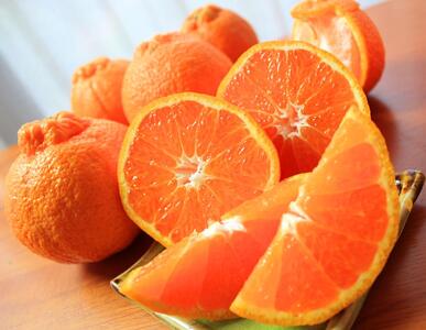 紀州有田産不知火(しらぬひ) 約５kg［2026年2月中旬以降発送］［先行予約］［UT40］