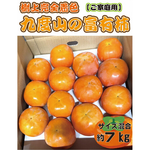 【先行予約】 樹上完全着色「九度山の富有柿」★訳あり★ 約7kg 【2026年11月中旬頃から発送予定】
