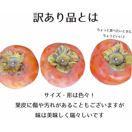 【先行予約】 樹上完全着色「九度山の富有柿」★訳あり★ 約7kg 【2026年11月中旬頃から発送予定】