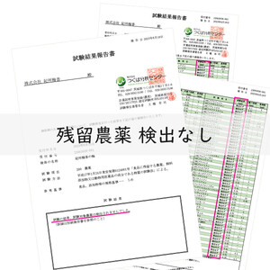 規格外品 無添加無農薬 昔ながらの梅干し 紀州南高梅 塩のみで漬けたすっぱい梅干し 800g（400gパックx2個）塩分約23% 3年熟成品 N20-K ［KU8］