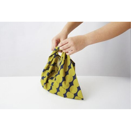 ◇紀州桧弁当箱 タイプS－4 NA ナノコート あずま袋セット【TN30】