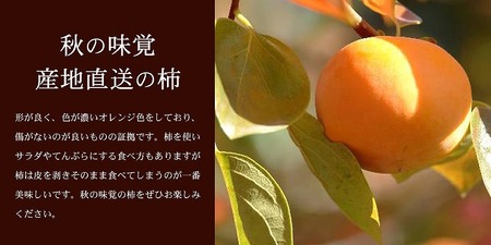 和歌山の種なし柿　約7.5kg（秀品：サイズ・品種おまかせ）／紀伊国屋文左衛門本舗【TC4】