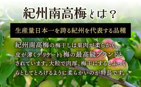  【ふるなび未公開】紀州南高梅使用　はちみつうす塩味完熟梅干し 無選別1kg