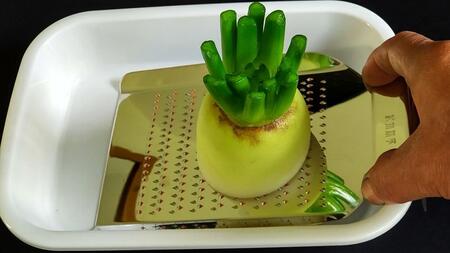 【紀州新家】極上手打ちのおろし金(中・12段)