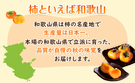 先行予約 和歌山県産 平核無柿 贈答用 赤秀 8~13玉【 柿 種無し たねなし ひらたね 九度山町】