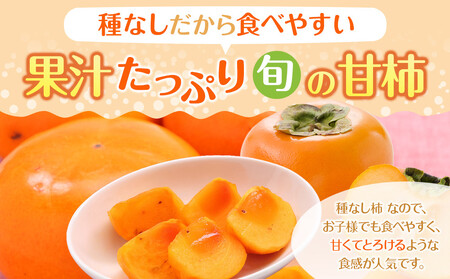 先行予約 和歌山県産 平核無柿 贈答用 赤秀 8~13玉【 柿 種無し たねなし ひらたね 九度山町】