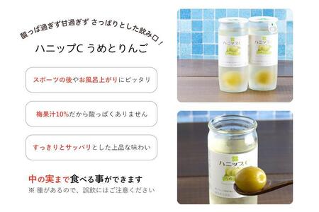 果実入り清涼飲料水 ハニップC2種類セット