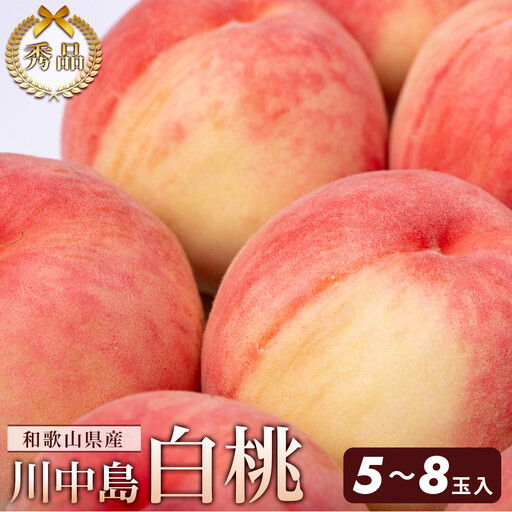 和歌山県産 川中島白桃 5～8玉入り 秀品 先行予約［2026年7月下旬以降発送］［MG7］