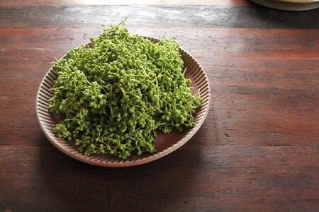 紀州グリルプレートセット 【SW65】