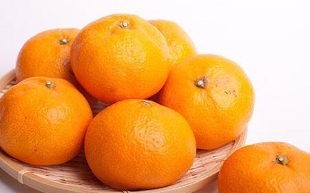 家庭用 大きな有田みかん2.5kg+250g（傷み補償分）［2025年11月中旬から2026年1月下旬頃順次発送予定］［IKE222］