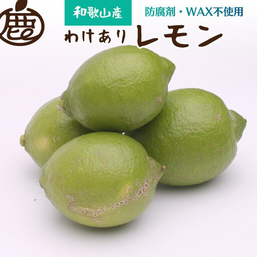 家庭用 レモン2.5kg+250g（傷み補償分）【和歌山有田産】【防腐剤・WAX不使用、安心の国産レモン】【わけあり・訳ありレモン】 ［IKE124］