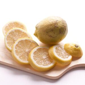 家庭用 レモン5kg+250g（傷み補償分）【和歌山有田産】【防腐剤・WAX不使用、安心の国産レモン】【わけあり・訳ありレモン】［IKE126］