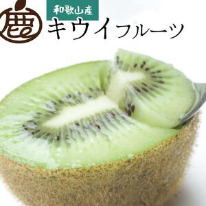 ＜先行予約＞家庭用キウイフルーツ2.5kg+75g（傷み補償分）【わけあり・訳あり・扁平果】