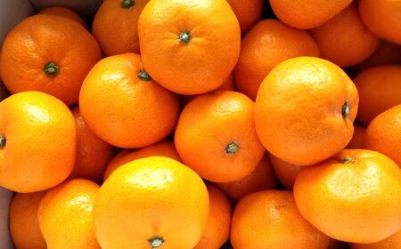 [秀品]和歌山有田みかん約5kg（S～Lサイズ混合）★2025年11月中旬頃より順次発送【TM95】