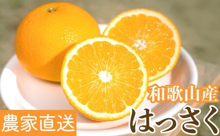 【先行予約】和歌山県産はっさく秀品 10kg （ L ～ 2L ）【2025年1月中旬以降より発送】