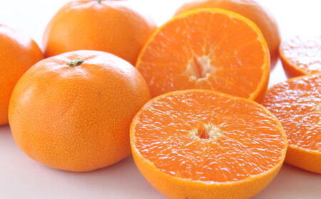 (訳あり・ご家庭用)一度は食べていただきたい「有田産のせとか」約4kg～5kg★2026年２月中旬頃より順次発送［TM210］