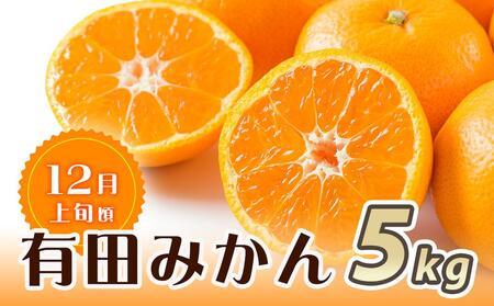 【魚鶴商店厳選】和歌山人気のフルーツ定期便(柿・みかん)【定期便全3回】【UT115】