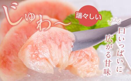 桃 極上秀品 約2kg 6～8個入【先行予約】【2025年6月下旬頃から7月下旬頃順次発送】こだわり農家厳選【KG2】桃