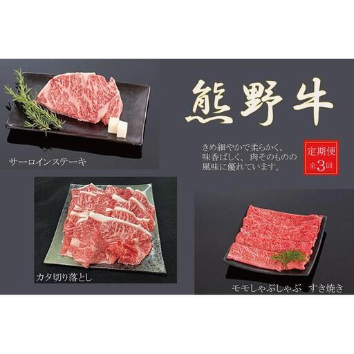 【定期便全3回】熊野牛 極上定期便セットB（1カ月に1回お届け）（全3ヵ月）