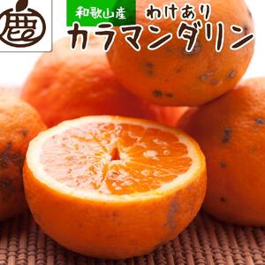 ＜4月より発送＞家庭用 カラマンダリン5kg+150g（傷み補償分）【訳あり・わけあり】【希少な春柑橘】【IKE2】