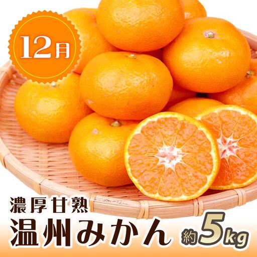 【2・7・12月 全3回】紀州和歌山産旬のフルーツセット(いちご・桃・有田みかん)定期便 【魚鶴商店】【UT70】