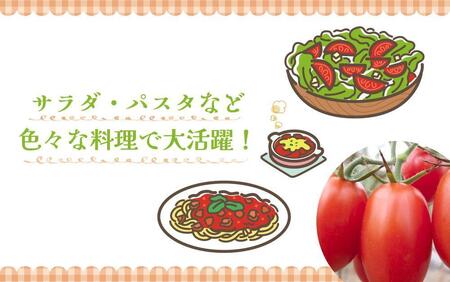 ［2025年12月出荷分］和歌山産ミニトマト「アイコトマト」約2kg（S・Mサイズおまかせ）［TM158］