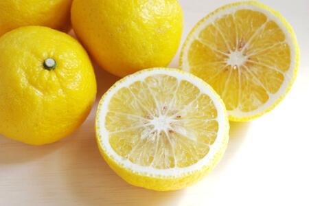 ［さわやか柑橘］和歌山県産はるかみかん約4.5kg（サイズ混合　秀品）★2026年2月下旬頃より順次発送［TM162］