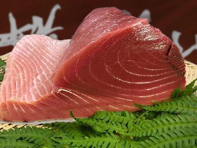 生まぐろの本場紀州勝浦から直送！生メバチマグロ 600g