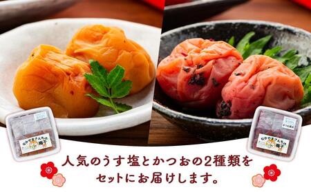 なかやまさんちの梅干 (850g×各1箱）うす塩味とかつお風味セット塩分5％