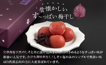 紀州南高梅 しそ漬梅 850g×1箱 ［Kn4］