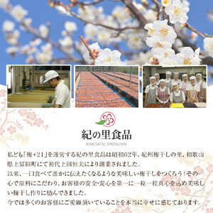 紀州南高梅 りんご梅 450g［Kn19］