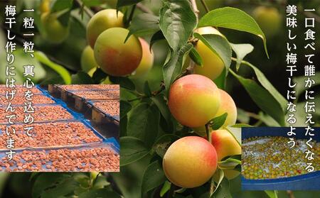 梅干　紀州南高梅　蜂蜜つぶれ　塩分5％　1kg（500g×２)【Kn22】梅干し うめぼし ウメ