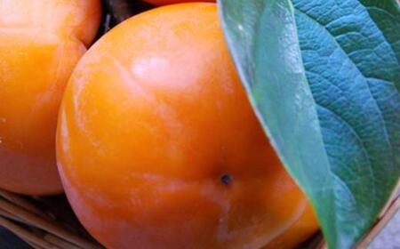 [甘柿の王様]和歌山産富有柿約3.5kgサイズ混合★  2026年10月下旬頃より順次発送【TM4】柿