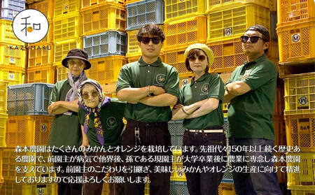 家庭用 森本農園の手選別ネーブルオレンジ 6kg 和歌山県産 サイズ混合 ［北海道・沖縄・離島配送不可］［RN34］［2026年1月上旬から順次発送］