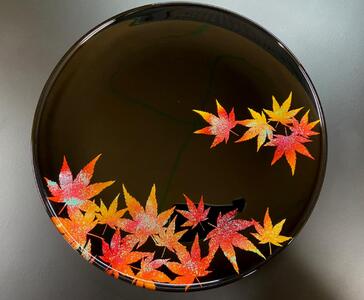 【全4回】 フラットプレートM 定期便 【 3月発送：墨桜純白 6月発送：花火マジョブルー 9月発送:紅葉漆黒 12月発送：マジョ銀箔ブルー 】【NF1】