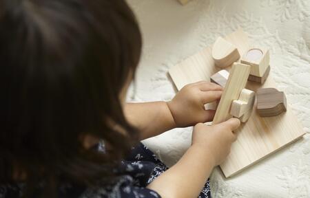 国産檜 おもちゃ IKONIH/アイコニー 食材セット