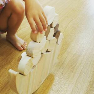 国産檜 おもちゃ IKONIH／アイコニー ジャンボなみのりバブル