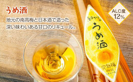 和歌山こだわりリキュール 紀州フルーツの酒3本ギフト