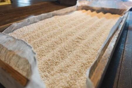 1升瓶 はつさくら古代徳利