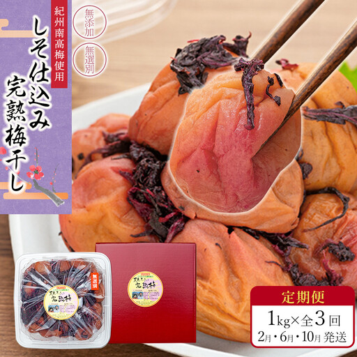 【定期便（2月・6月・10月）全3回お届け】 紀州南高梅使用 しそ仕込み完熟梅干し 無選別1kg ［TM214］