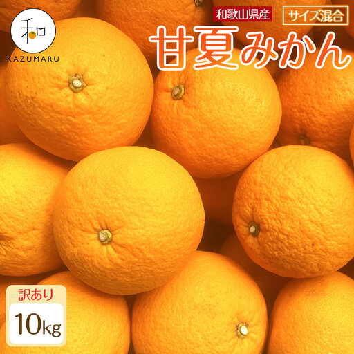 訳あり 森本農園の手選別 甘夏みかん 約10kg 和歌山県産 サイズ混合 ［北海道・沖縄・離島配送不可］［2026年4月上旬から順次発送］［RN76］