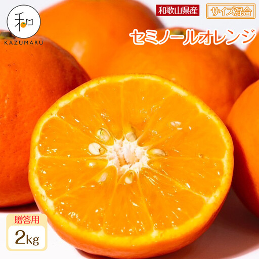 贈答用 森本農園の手選別 厳選セミノールオレンジ 約2kg 和歌山県産 サイズ混合 ［北海道・沖縄・離島配送不可］［2026年4月中旬から順次発送］［RN110］