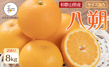 訳あり 森本農園の手選別 八朔 約8kg 和歌山県産 サイズ混合 ［北海道・沖縄・離島配送不可］［2026年1月中旬から発送予定］［RN120］★ 6,390円