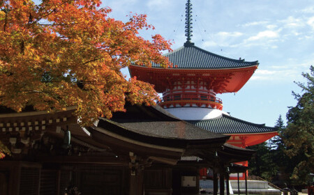 ＜世界遺産高野山＞ 宿坊 宿泊割引チケット 3,000円分