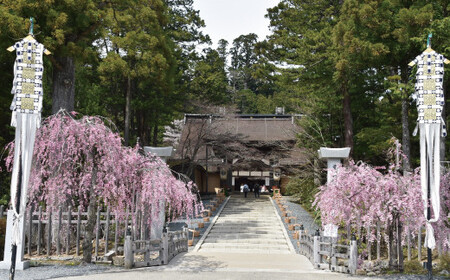 ＜世界遺産高野山＞ 宿坊 宿泊割引チケット 3,000円分