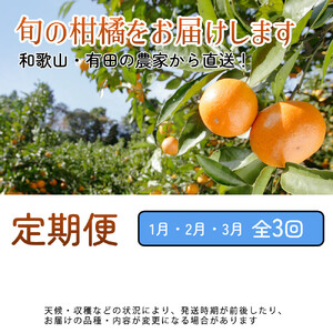 厳選 柑橘定期便S（1～3月）全3回［IKE288］