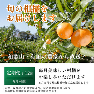 厳選 柑橘定期便M（毎月）全12回 ［IKE292］