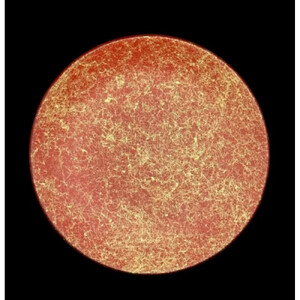 丸小皿 乱糸（マット仕上げ）5枚セット［NF99］